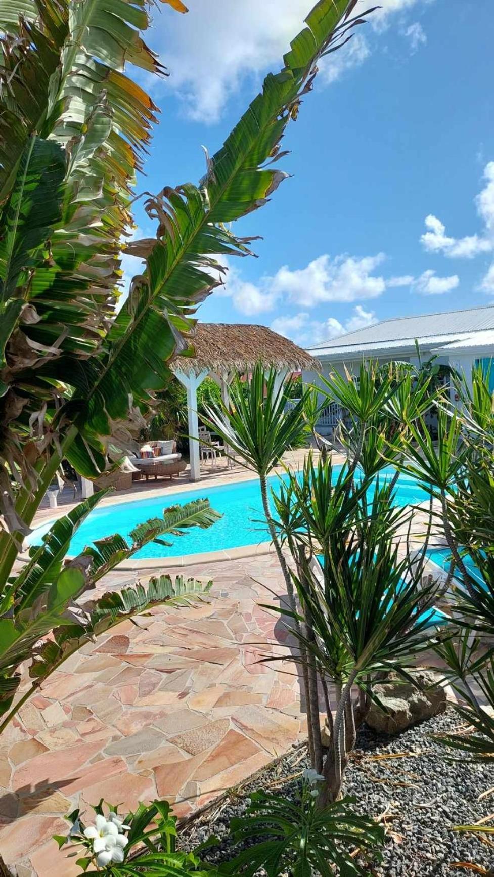 Tiko Lodge Sxm Quarter of Orleans Εξωτερικό φωτογραφία